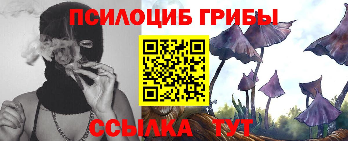 Галлюциногенные грибы Psilocybe Королёв