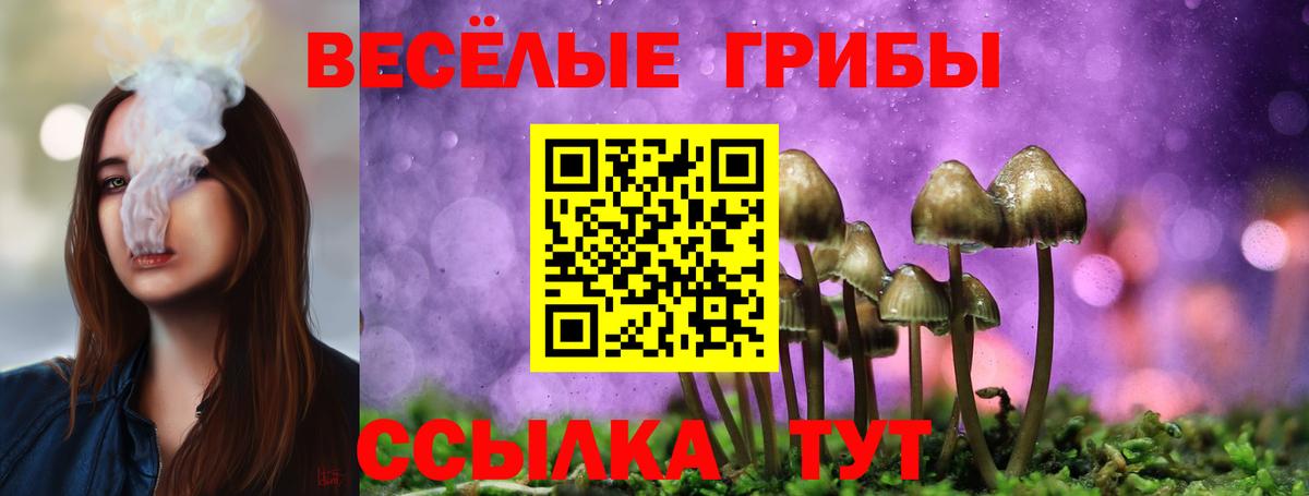 Псилоцибиновые грибы GOLDEN TEACHER  Вход с VPN  Королёв 